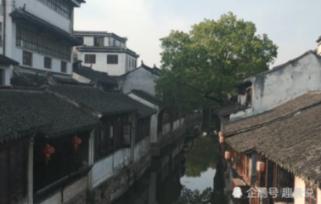 渣渣辉传奇